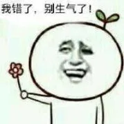 送花：我错了，别生气了（送花：我错了，别生气了）