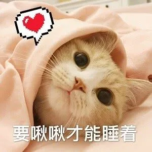 要啾啾才能睡着（要啾啾才能睡着）