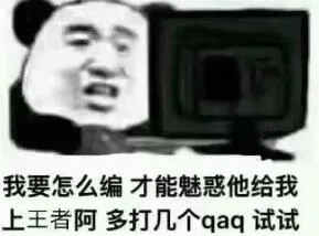 我要怎么编（我要怎么编）