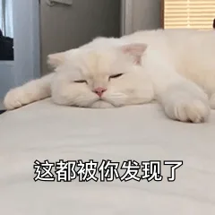 这都被你发现了（这都被你发现了）