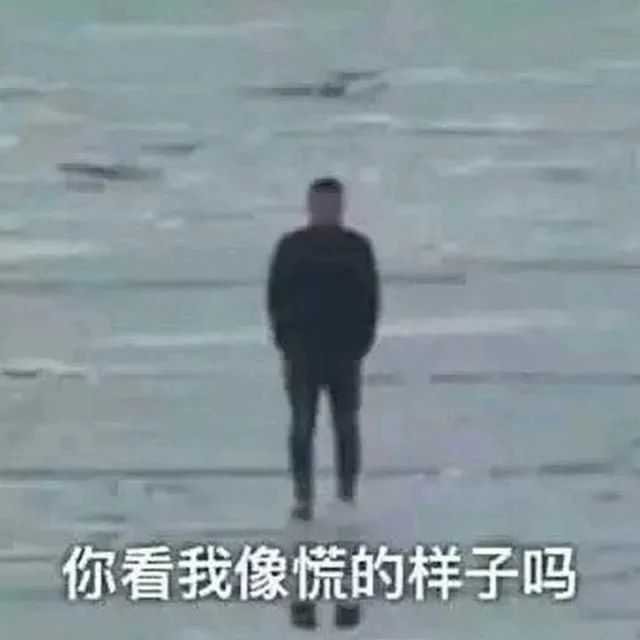你看我像慌的样子吗（你看我像慌的样子吗）