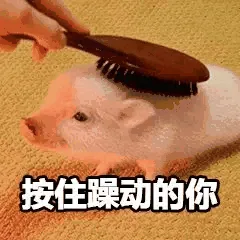 按住躁动的你（按住躁动的你）