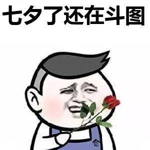 七夕了还在斗图（七夕了还在斗图）