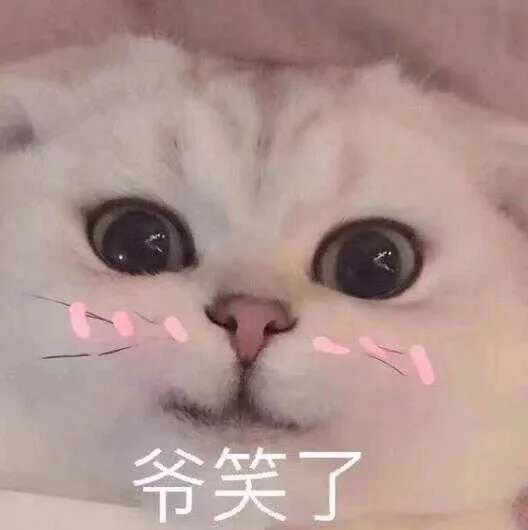 爷笑了（爷笑了）