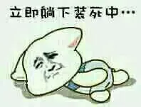 立即躺下装死中！（立即躺下装死中！）