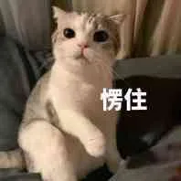 愣住（愣住）