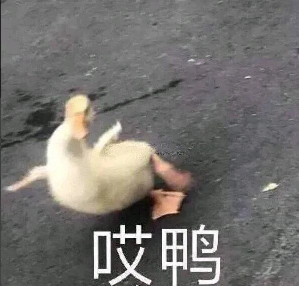 哎鸭（哎鸭）