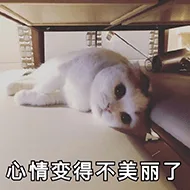 心情变得不美丽了（心情变得不美丽了）