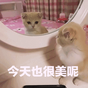 今天也很美呢（今天也很美呢）