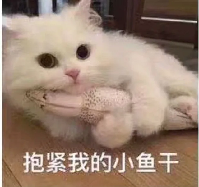 抱紧我的小鱼干（抱紧我的小鱼干）