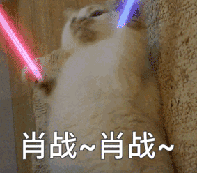 肖战肖战（肖战肖战）