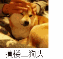 动态：摸楼上狗头（动态：摸楼上狗头）