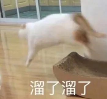 溜了溜了（溜了溜了）