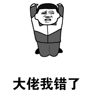 大佬我错了（大佬我错了）