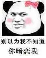 别以为我不知道你暗恋我（别以为我不知道你暗恋我）