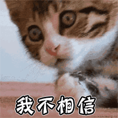 我不相信（我不相信）