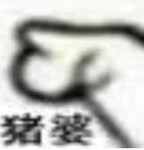 猪婆（猪婆）