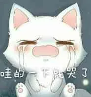 哇的一下就哭了（哇的一下就哭了）