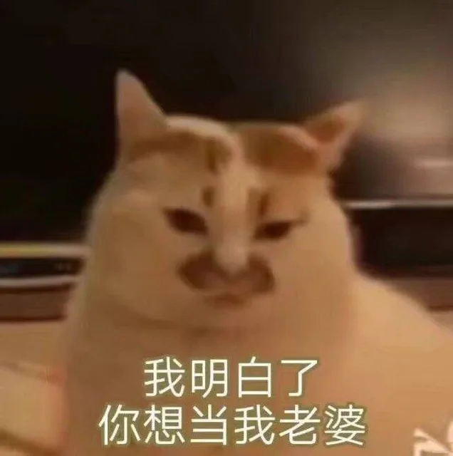 我明白了，你想当我老婆（我明白了，你想当我老婆）