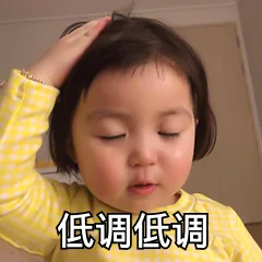 低调低调（低调低调）