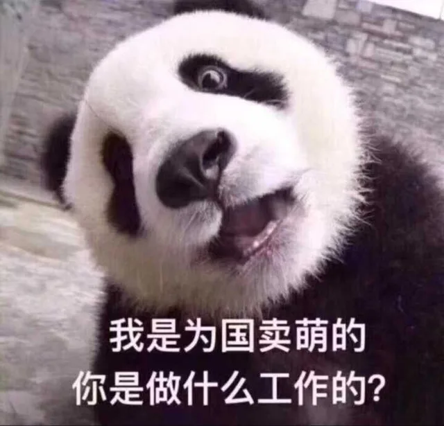 我是为国卖萌的你是做什么工作的？（我是为国卖萌的你是做什么工作的？）