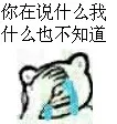 你在说什么我什么也不知道（你在说什么我什么也不知道）