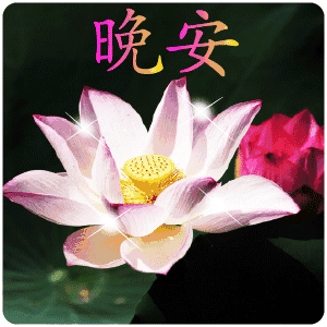 晚安（晚安）