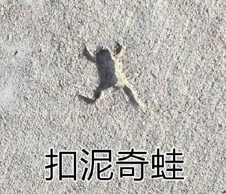 扣混奇蛙（扣混奇蛙）