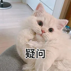 疑问（疑问）