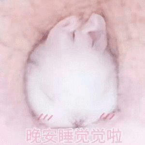 晚安睡觉觉啦（晚安睡觉觉啦）