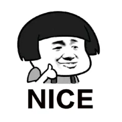NICE（NICE）