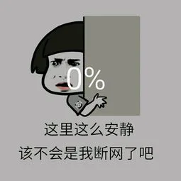 这里这么安静该不会是我断网了吧（这里这么安静该不会是我断网了吧）