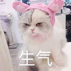 生气（生气）