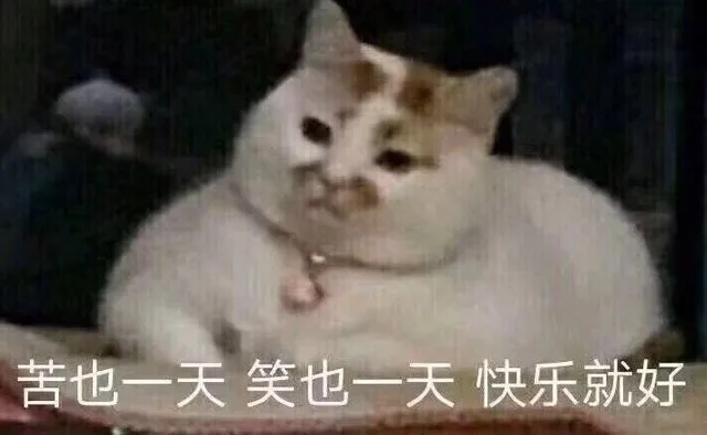 苦也一天笑也一天快乐就好（苦也一天笑也一天快乐就好）