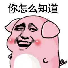 你怎么知道（你怎么知道）