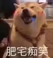 肥宅痴突（肥宅痴突）