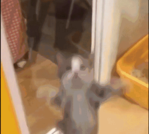 要抱抱（要抱抱）