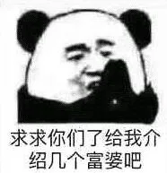 求求你们了给我介绍几个富婆吧（求求你们了给我介绍几个富婆吧）