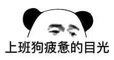 上班狗疲惫的目光（上班狗疲惫的目光）