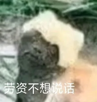 劳资不想说话（劳资不想说话）