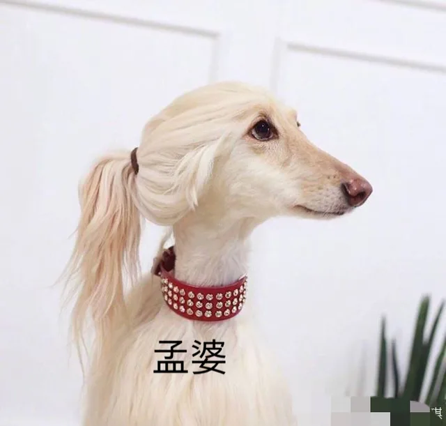 孟婆（孟婆）