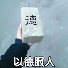 以德服人（砖头）（以德服人（砖头））