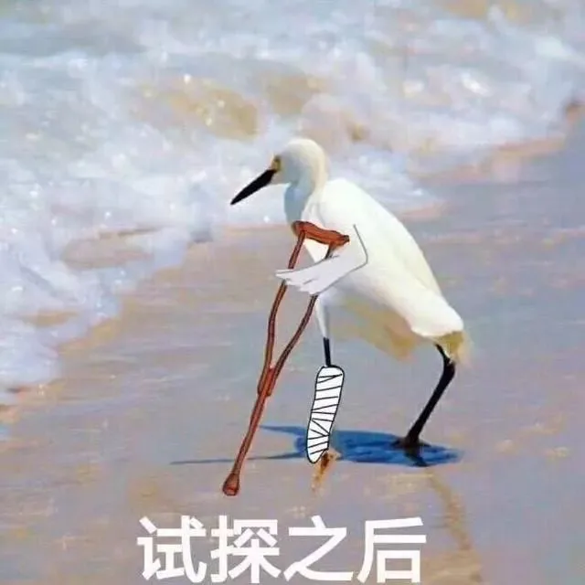 试探之后（试探之后）