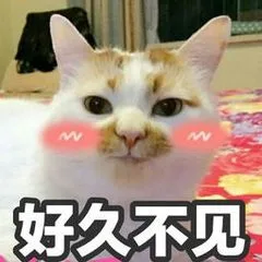 好久不见（好久不见）