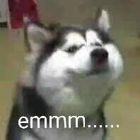emmmmmmmmmmm（emmmmmmmmmmm）