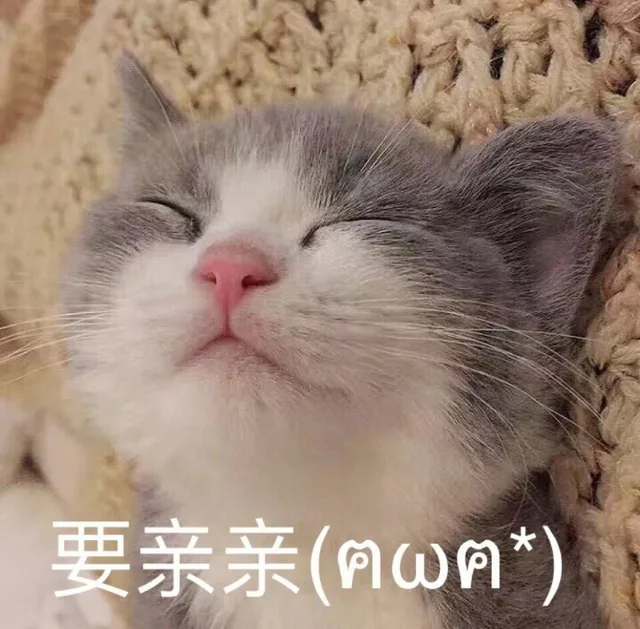要杀亲（o0问）（要杀亲（o0问））