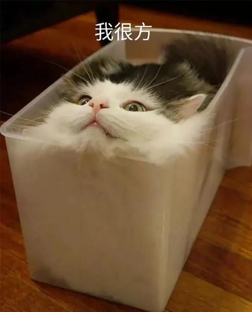 我很方（我很方）