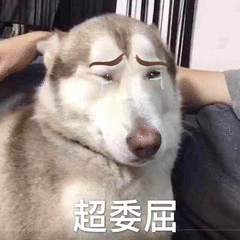 哭了（哭了）