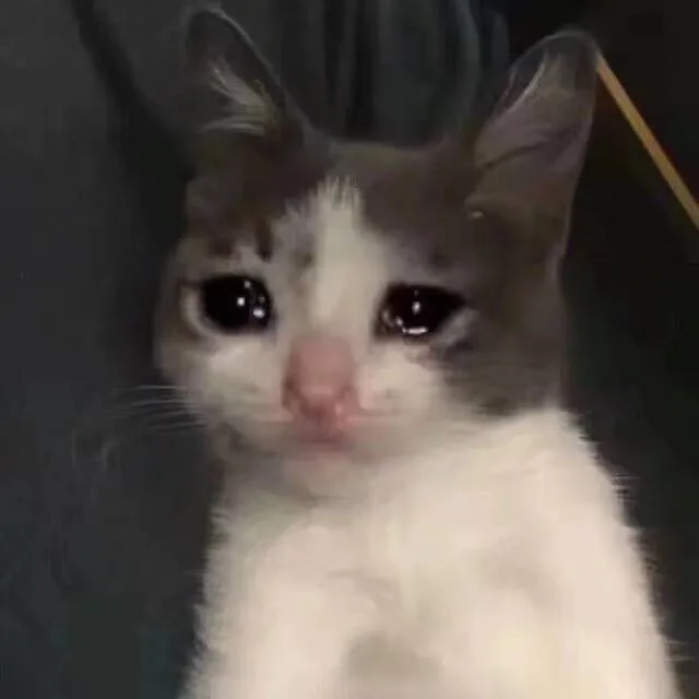 小猫哭了（小猫哭了）