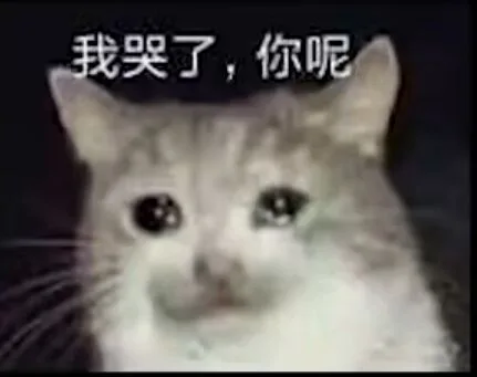 我哭了，你呢（我哭了，你呢）